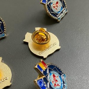 Pin IPA (EU-RO) - Image 2