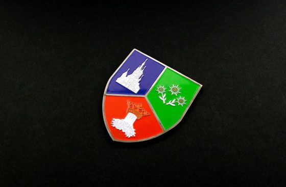 insigne_personalizate__00015
