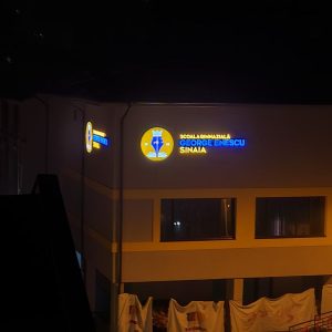 Reclamă neiluminată - Image 12