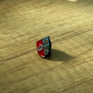 Pin metalic instituție - imagine 2