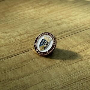 Pin metalic instituție - imagine 12