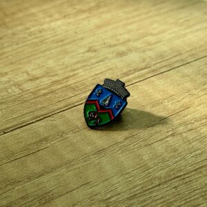 Pin metalic instituție - imagine 3