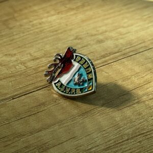 Pin metalic instituție - imagine 5