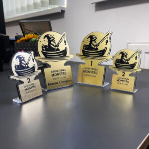 Trofee personalizate mixte - imagine 6