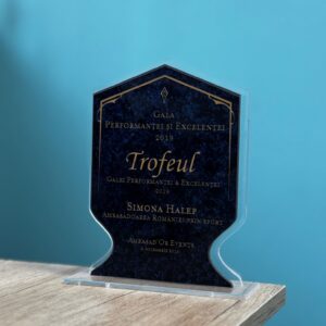 Trofee personalizate mixte - imagine 3
