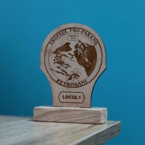 Trofee personalizate de lemn - imagine 6