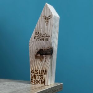 Trofee personalizate de lemn - imagine 9
